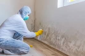 Asbestos and Lead Testing During Mold Inspection in South Congaree, SC